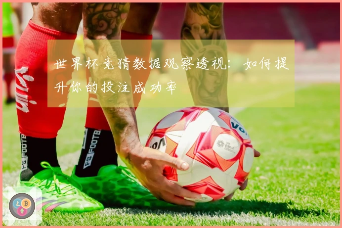 世界杯竞猜数据观察透视：如何提升你的投注成功率