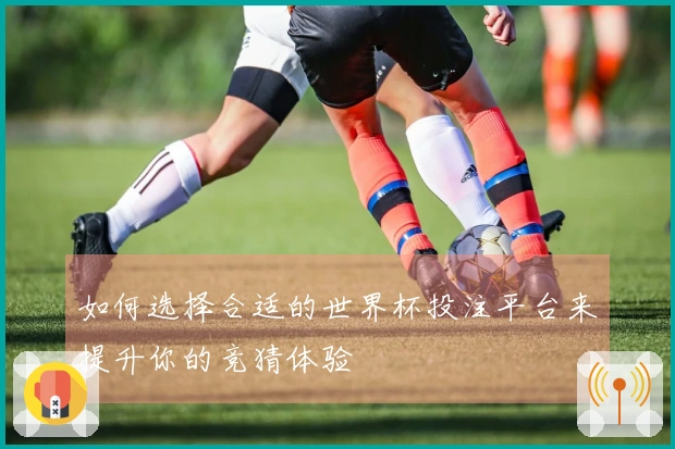 如何选择合适的世界杯投注平台来提升你的竞猜体验