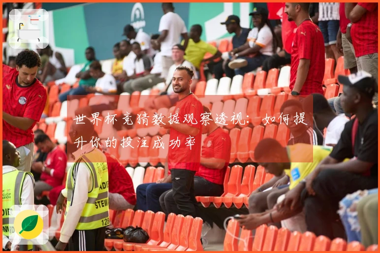 世界杯竞猜数据观察透视：如何提升你的投注成功率