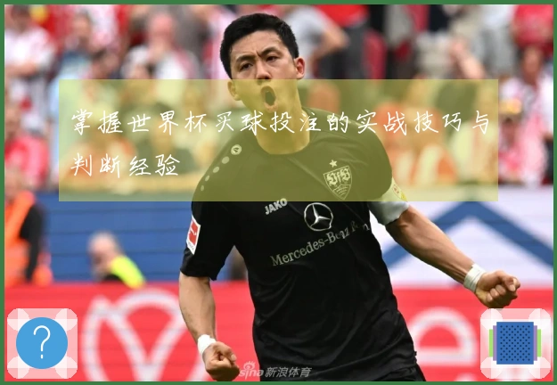 掌握世界杯买球投注的实战技巧与判断经验