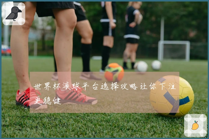 世界杯滚球平台选择攻略让你下注更稳健