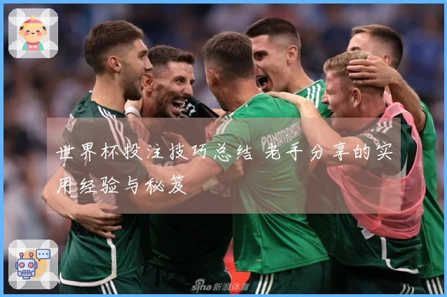 世界杯投注技巧总结 老手分享的实用经验与秘笈