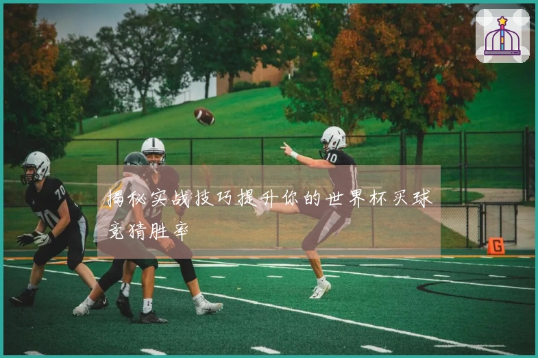 揭秘实战技巧提升你的世界杯买球竞猜胜率