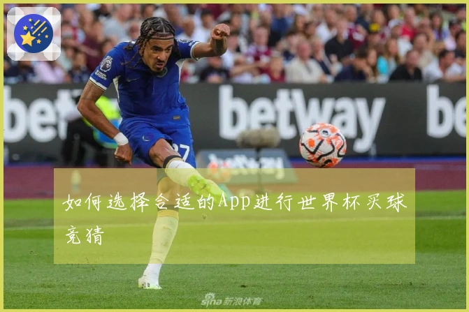 如何选择合适的App进行世界杯买球竞猜