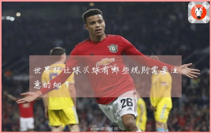 世界杯让球买球有哪些规则需要注意的细节