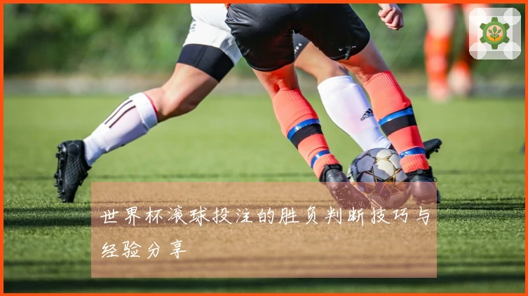 世界杯滚球投注的胜负判断技巧与经验分享