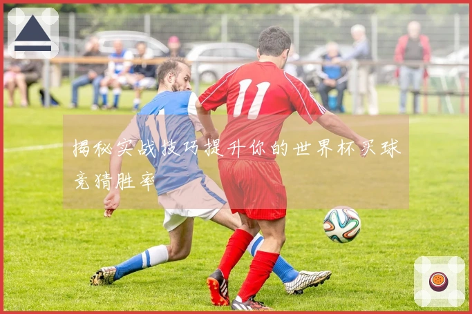 揭秘实战技巧提升你的世界杯买球竞猜胜率