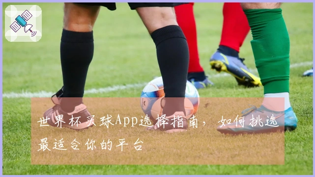 世界杯买球App选择指南，如何挑选最适合你的平台