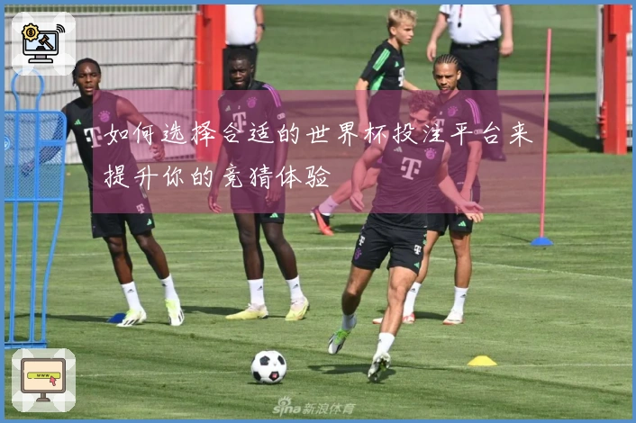 如何选择合适的世界杯投注平台来提升你的竞猜体验