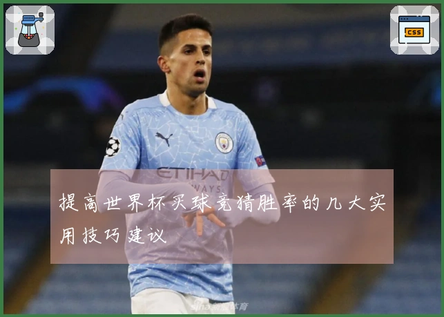 提高世界杯买球竞猜胜率的几大实用技巧建议