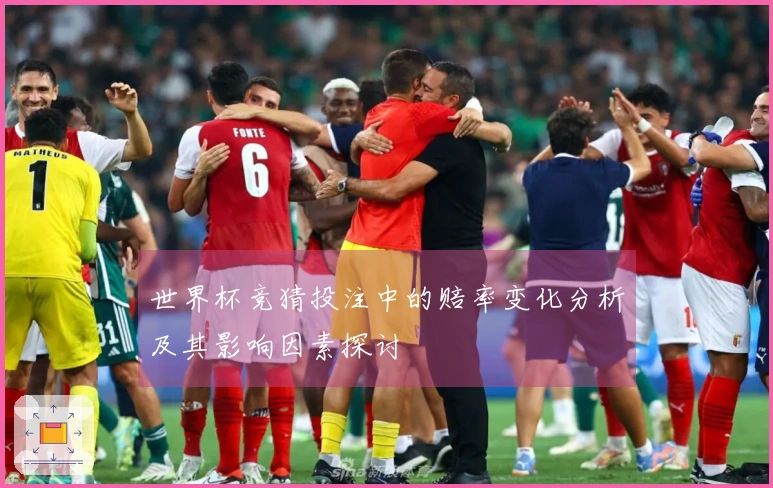 世界杯竞猜投注中的赔率变化分析及其影响因素探讨