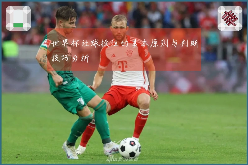 世界杯让球投注的基本原则与判断技巧分析